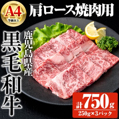 鹿児島県産黒毛和牛A4等級以上肩ロース焼肉用 合計750g・和牛スジ肉250g