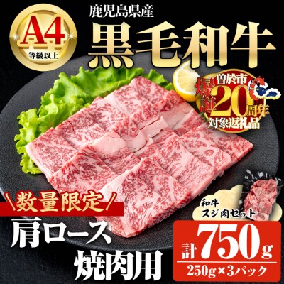 鹿児島県産黒毛和牛A4等級以上肩ロース焼肉用 合計750g・和牛スジ肉250g