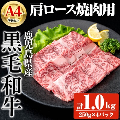 鹿児島県産黒毛和牛A4等級以上肩ロース焼肉用 合計1.0kg・和牛スジ肉250g×2P