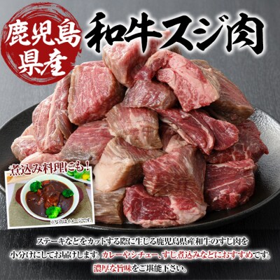 鹿児島県産和牛スジ肉計2.25kg(250g×9P)