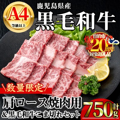 鹿児島県産黒毛和牛A4等級以上肩ロース焼肉用合計750g・黒毛和牛こま切れ250g