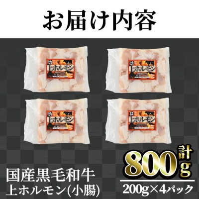 【鮮度抜群!】国産黒毛和牛小腸(上ホルモン800g)