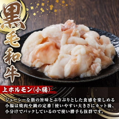 【鮮度抜群!】国産黒毛和牛小腸(上ホルモン800g)