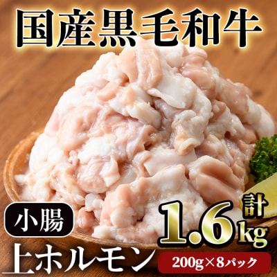 【鮮度抜群!】国産黒毛和牛小腸(上ホルモン1.6kg)