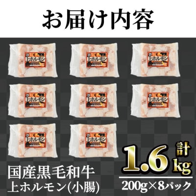 【鮮度抜群!】国産黒毛和牛小腸(上ホルモン1.6kg)