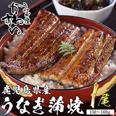 鹿児島県産うなぎ蒲焼(150g×1本)
