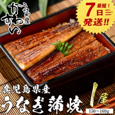 鹿児島県産うなぎ蒲焼(150g×1本)