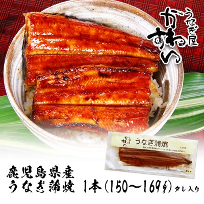 鹿児島県産うなぎ蒲焼(150g×1本)