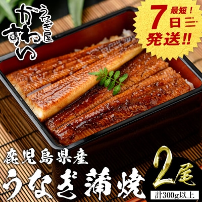 鹿児島県産うなぎ蒲焼(150g×2本)+きざみ75g