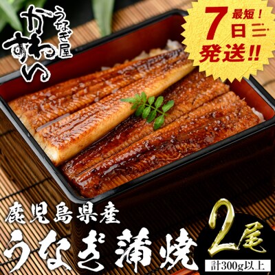 鹿児島県産うなぎ蒲焼(150g×2本)