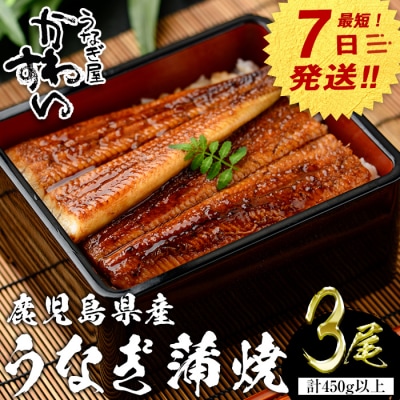 鹿児島県産うなぎ蒲焼(150g×3本)