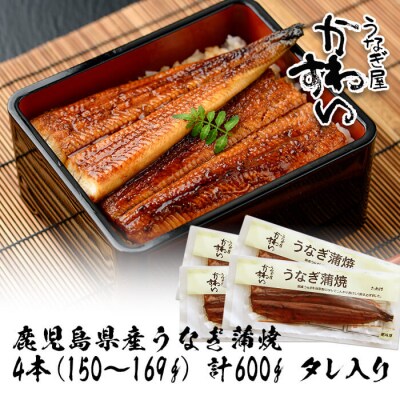 鹿児島県産うなぎ蒲焼(150g×4本)