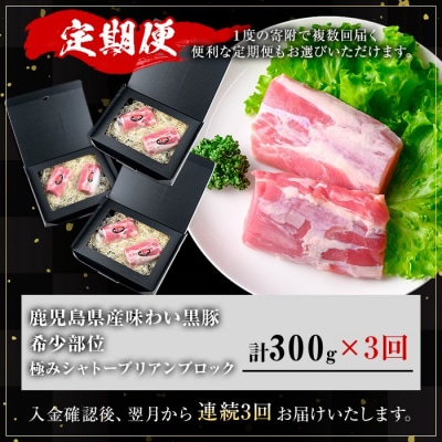 【3回定期】かごしま味わい黒豚希少部位 極みシャトーブリアン(合計900g)