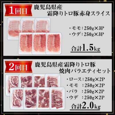 【3回定期】薩摩トロ豚食べ比べ定期便 (合計5.5kg) 