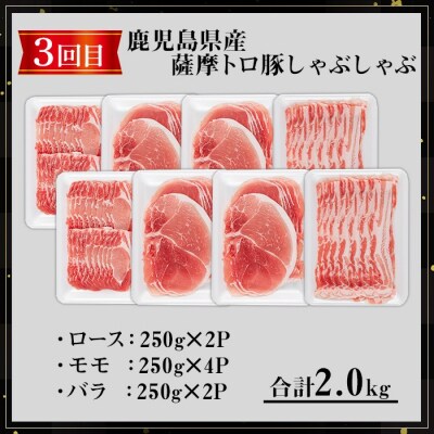 【3回定期】薩摩トロ豚食べ比べ定期便 (合計5.5kg) 