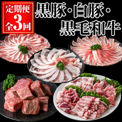 【3回定期】黒豚・白豚・黒毛和牛の定期便 (合計3.2kg) 