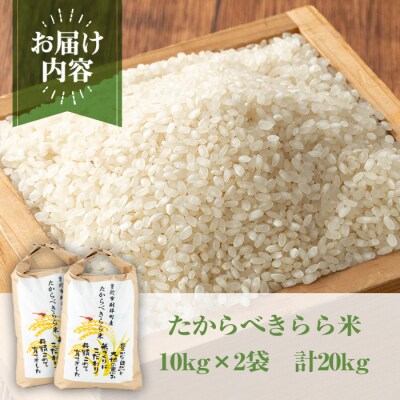 【2025年10月中旬より順次発送予定】たからべきらら米20㎏