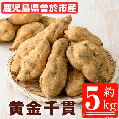 黄金千貫(5kg)
