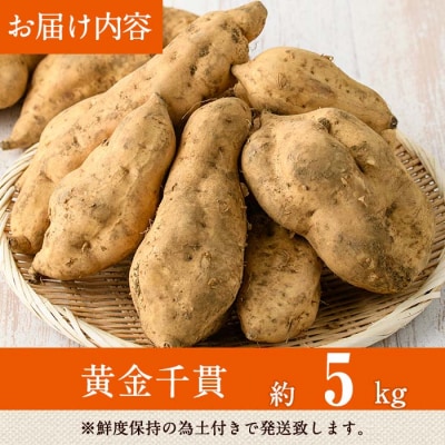 【先行受付】黄金千貫(5kg)