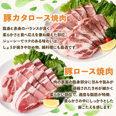 鹿児島県産豚バラエティー焼肉セット(合計2.7kg)