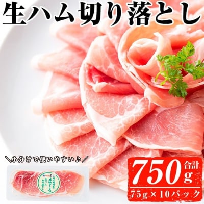 【2026年2月中に発送予定】生ハム切り落とし75g×10P