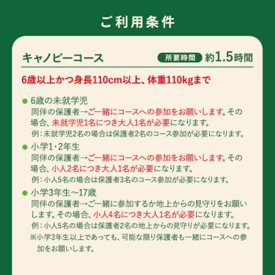 キャノピーコース体験チケット(1名分)