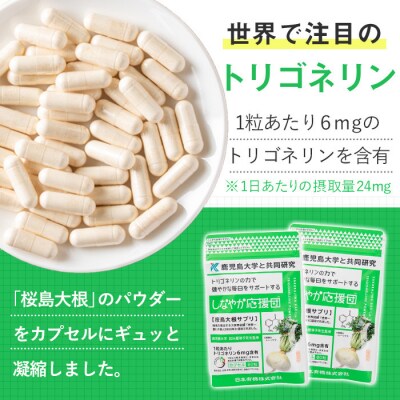 しなやか応援団(60粒×12袋)