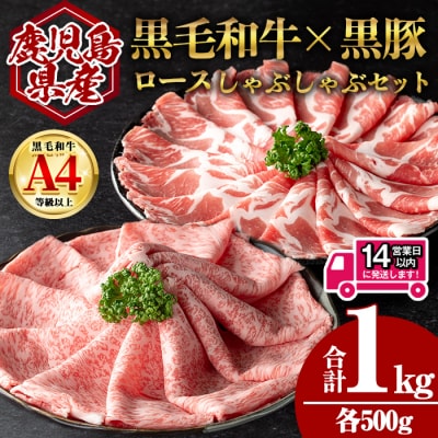 鹿児島県産黒毛和牛ロース×黒豚肩ロースしゃぶしゃぶセット (合計1kg・各500g)