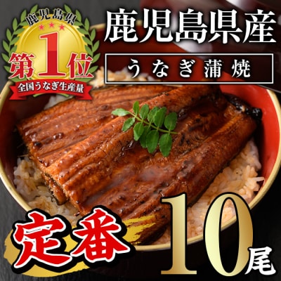 無投薬!鹿児島県産うなぎ蒲焼セット〈定番〉(10尾 計1.2kg)