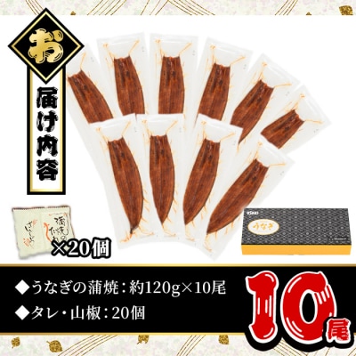 無投薬!鹿児島県産うなぎ蒲焼セット〈定番〉(10尾 計1.2kg)