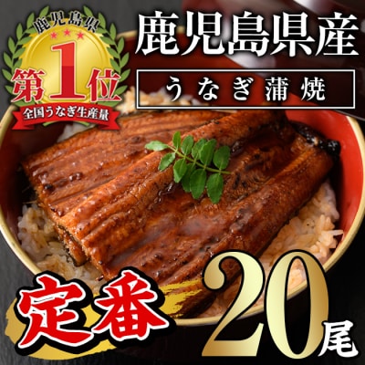 無投薬!鹿児島県産うなぎ蒲焼セット〈定番〉(20尾 計2.4kg)