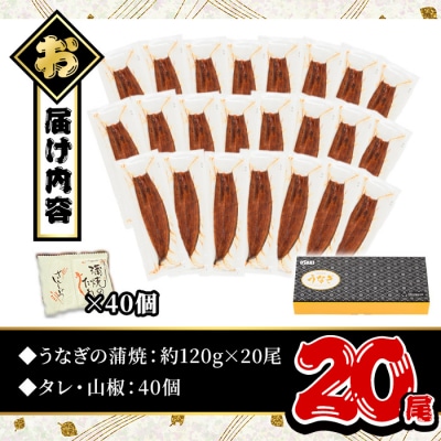 無投薬!鹿児島県産うなぎ蒲焼セット〈定番〉(20尾 計2.4kg)