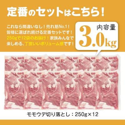 鹿児島県産 豚肉切り落とし (計3.0kg) 