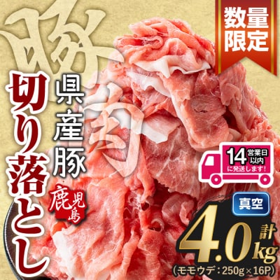 鹿児島県産 豚肉切り落とし (計4kg )