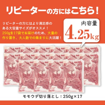 鹿児島県産 豚肉切り落とし (計4.25kg )