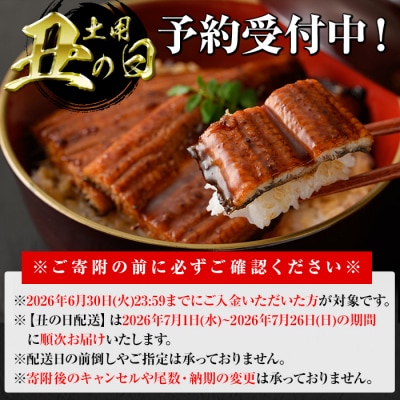 <丑の日先行受付中!>無投薬!鹿児島県産うなぎ蒲焼セット<上>(計280g以上 約140g×2)