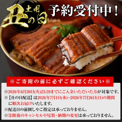 <丑の日先行受付中!>無投薬!鹿児島県産うなぎ蒲焼セット<上>(計280g以上 約140g×2)