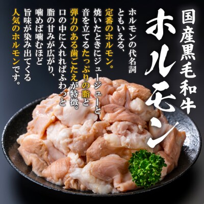 黒毛和牛ホルモン(400g×1P)/醤油タレ(30g×3P)