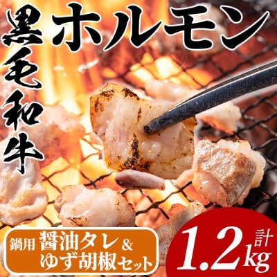 黒毛和牛ホルモン(200g×6P)/醤油タレ1P/ゆず胡椒1個
