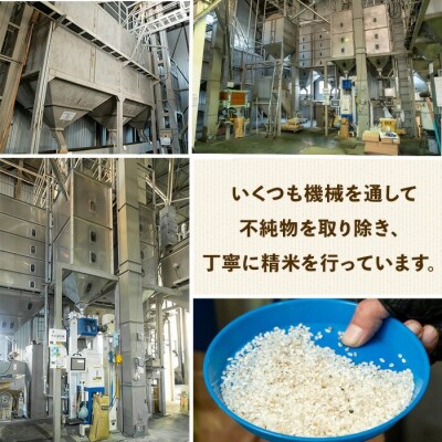 令和7年度産 鹿児島県産あきほなみ(5kg)