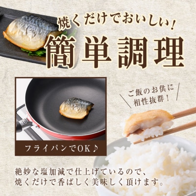 骨取り塩サバ切身(15枚/約900g)