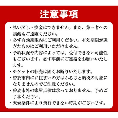 【家屋調査】ドローン空撮による屋根点検(※曽於市限定※) 