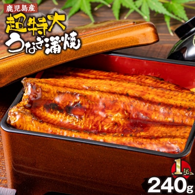 鹿児島県産うなぎ蒲焼(無頭)計240g以上・240g以上×1尾
