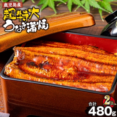 鹿児島県産うなぎ蒲焼(無頭)計480g以上・240g以上×2尾