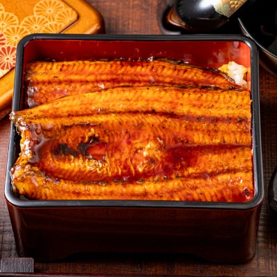 鹿児島県産うなぎ蒲焼(無頭)計480g以上・240g以上×2尾