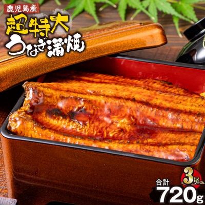 鹿児島県産うなぎ蒲焼(無頭)計720g以上・240g以上×3尾