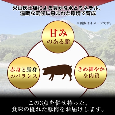 鹿児島県産肩ローススライス1.2kg