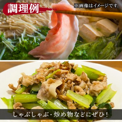 鹿児島県産肩ロース薄切りスライス1.2kg