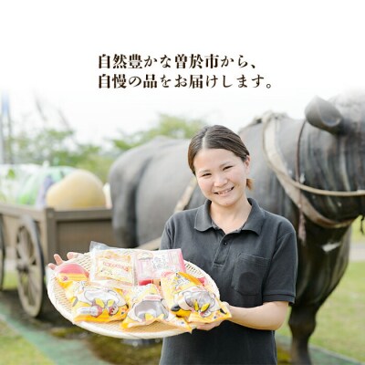 <本格焼酎>弥五郎どん2本セット (計3,600ml・1800ml×2本) 