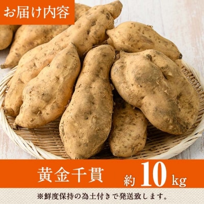 【先行受付】黄金千貫(10kg)